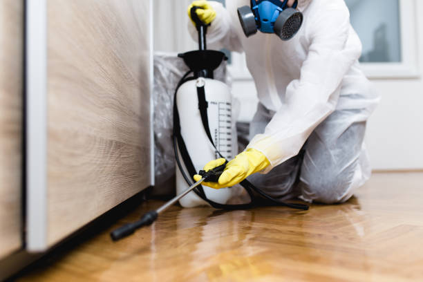 Reliable Whitwell, TN Pest Control Solutions