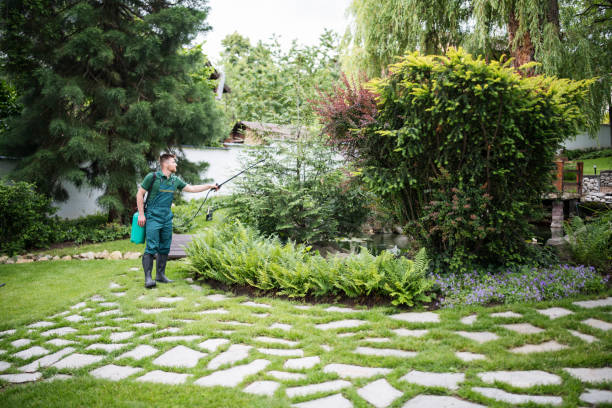 Best Wasp Removal Services  in Whitwell, TN