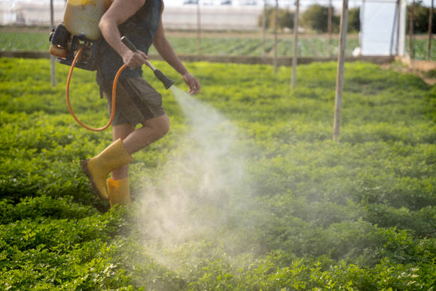 Best Residential Pest Control  in Whitwell, TN