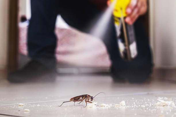 Best Local Pest Control Services  in Whitwell, TN