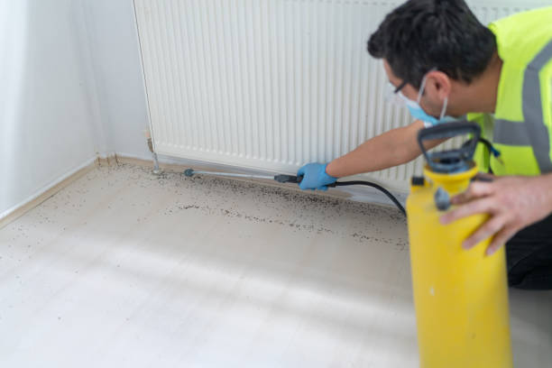 Best Emergency Pest Control  in Whitwell, TN