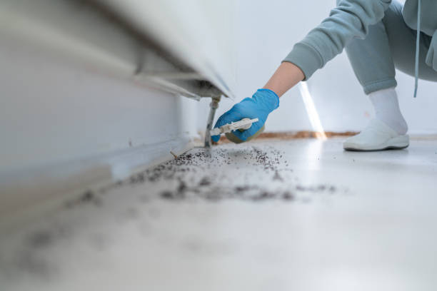 Best Cockroach Control Services  in Whitwell, TN